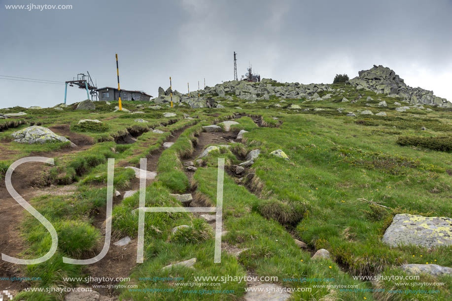 Landscape of Vitosha Mountain near Cherni Vrah Peak, Sofia City Region, Bulgaria