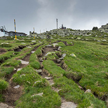 Landscape of Vitosha Mountain near Cherni Vrah Peak, Sofia City Region, Bulgaria