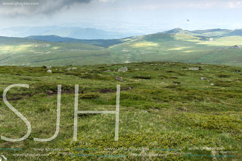 Landscape of Vitosha Mountain near Cherni Vrah Peak, Sofia City Region, Bulgaria