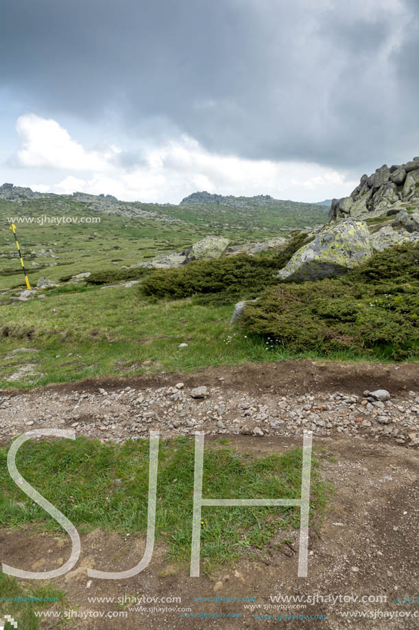 Landscape of Vitosha Mountain near Cherni Vrah Peak, Sofia City Region, Bulgaria