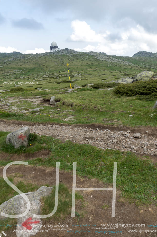 Landscape of Vitosha Mountain near Cherni Vrah Peak, Sofia City Region, Bulgaria