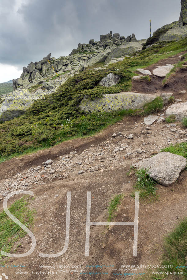 Landscape of Vitosha Mountain near Cherni Vrah Peak, Sofia City Region, Bulgaria