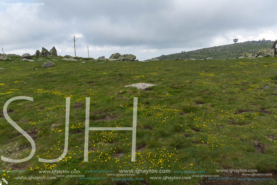 Amazing Landscape of Vitosha Mountain from Cherni Vrah Peak, Sofia City Region, Bulgaria