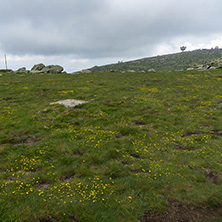 Amazing Landscape of Vitosha Mountain from Cherni Vrah Peak, Sofia City Region, Bulgaria