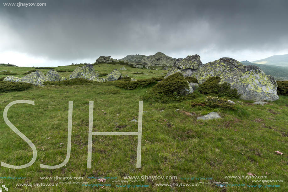 Amazing Landscape of Vitosha Mountain from Cherni Vrah Peak, Sofia City Region, Bulgaria