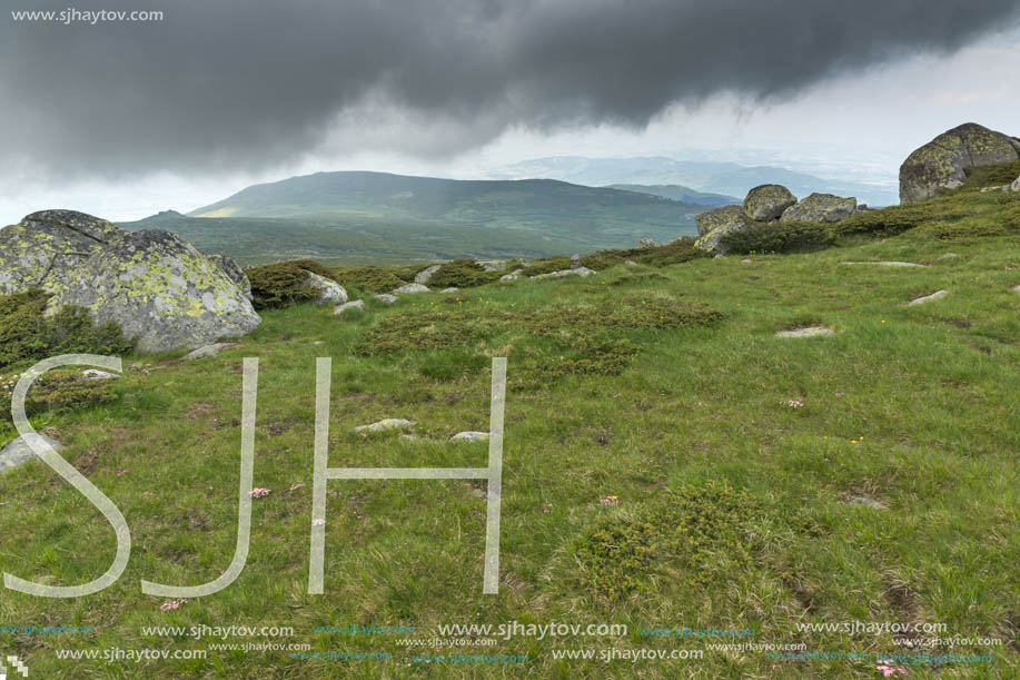 Amazing Landscape of Vitosha Mountain from Cherni Vrah Peak, Sofia City Region, Bulgaria