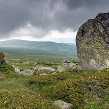 Amazing Landscape of Vitosha Mountain from Cherni Vrah Peak, Sofia City Region, Bulgaria