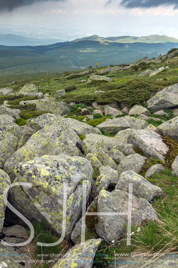 Amazing Landscape of Vitosha Mountain from Cherni Vrah Peak, Sofia City Region, Bulgaria