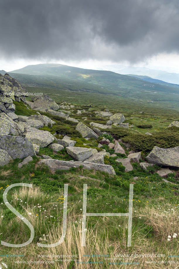 Amazing Landscape of Vitosha Mountain from Cherni Vrah Peak, Sofia City Region, Bulgaria