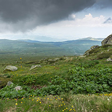 Amazing Landscape of Vitosha Mountain from Cherni Vrah Peak, Sofia City Region, Bulgaria