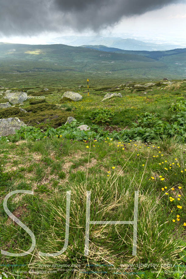 Amazing Landscape of Vitosha Mountain from Cherni Vrah Peak, Sofia City Region, Bulgaria