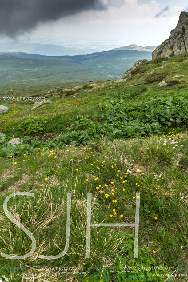 Amazing Landscape of Vitosha Mountain from Cherni Vrah Peak, Sofia City Region, Bulgaria