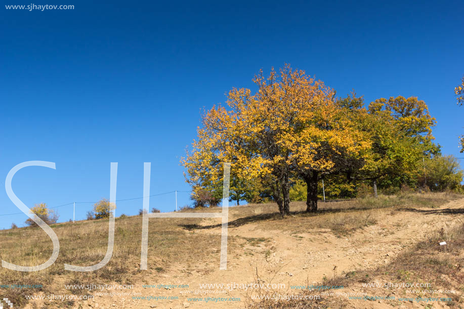 Autumn landscape of Cherna Gora (Monte Negro) mountain, Pernik Region, Bulgaria