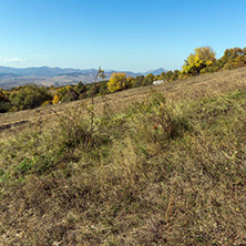 Autumn landscape of Cherna Gora (Monte Negro) mountain, Pernik Region, Bulgaria