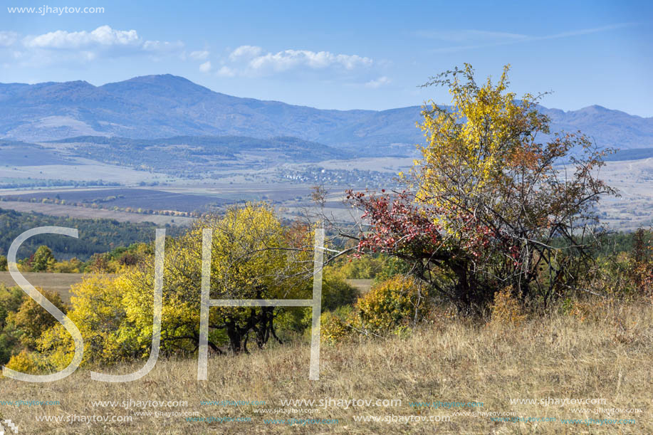 Autumn landscape of Cherna Gora (Monte Negro) mountain, Pernik Region, Bulgaria