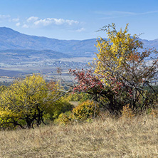 Autumn landscape of Cherna Gora (Monte Negro) mountain, Pernik Region, Bulgaria