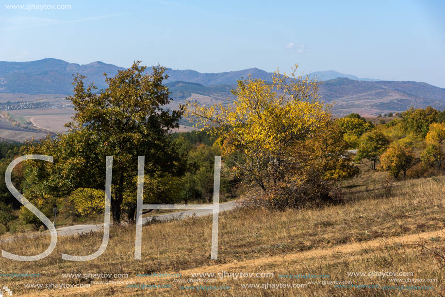 Autumn landscape of Cherna Gora (Monte Negro) mountain, Pernik Region, Bulgaria