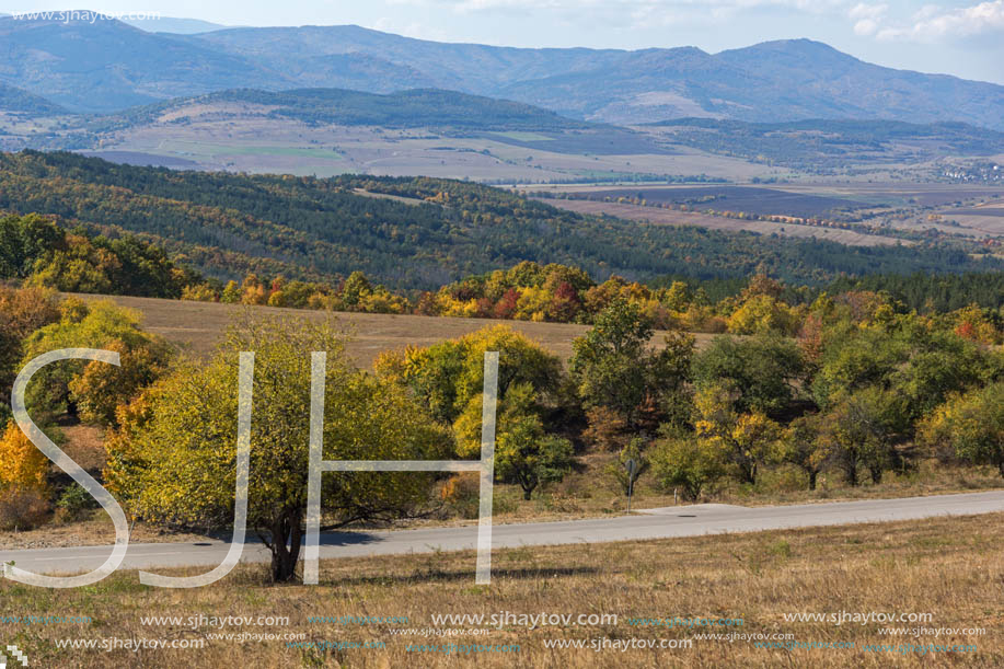 Autumn landscape of Cherna Gora (Monte Negro) mountain, Pernik Region, Bulgaria