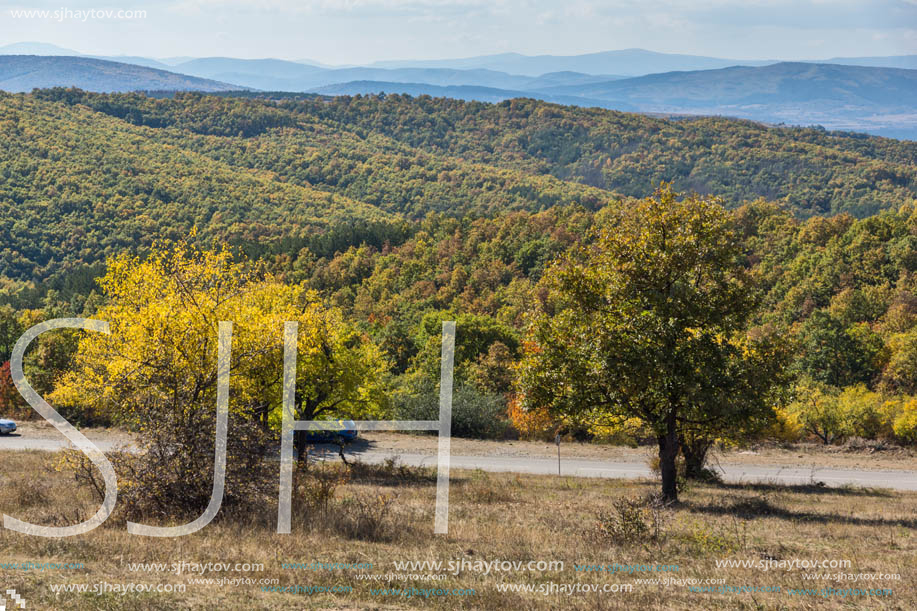 Autumn landscape of Cherna Gora (Monte Negro) mountain, Pernik Region, Bulgaria