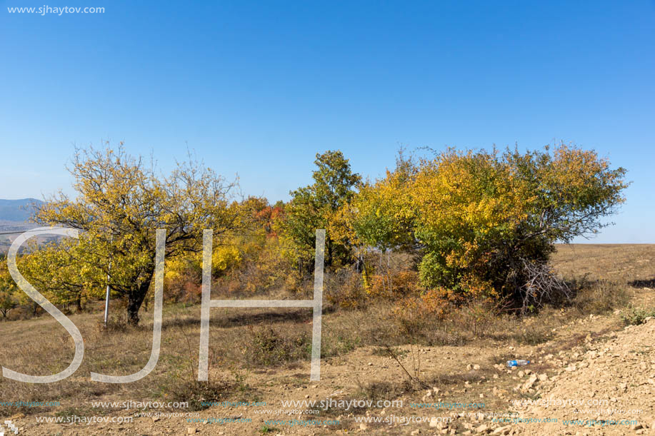 Autumn landscape of Cherna Gora (Monte Negro) mountain, Pernik Region, Bulgaria