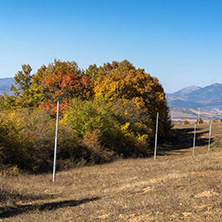 Autumn landscape of Cherna Gora (Monte Negro) mountain, Pernik Region, Bulgaria