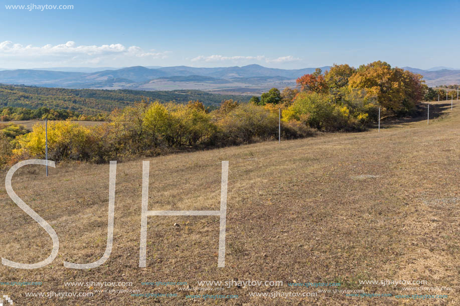 Autumn landscape of Cherna Gora (Monte Negro) mountain, Pernik Region, Bulgaria