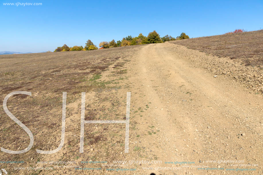 Autumn landscape of Cherna Gora (Monte Negro) mountain, Pernik Region, Bulgaria