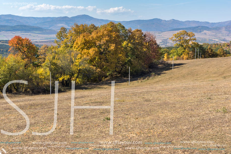 Autumn landscape of Cherna Gora (Monte Negro) mountain, Pernik Region, Bulgaria