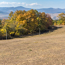 Autumn landscape of Cherna Gora (Monte Negro) mountain, Pernik Region, Bulgaria