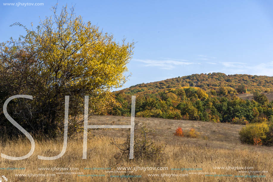 Autumn landscape of Cherna Gora (Monte Negro) mountain, Pernik Region, Bulgaria