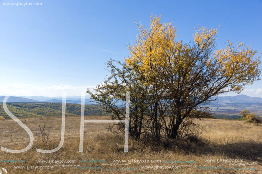 Autumn landscape of Cherna Gora (Monte Negro) mountain, Pernik Region, Bulgaria