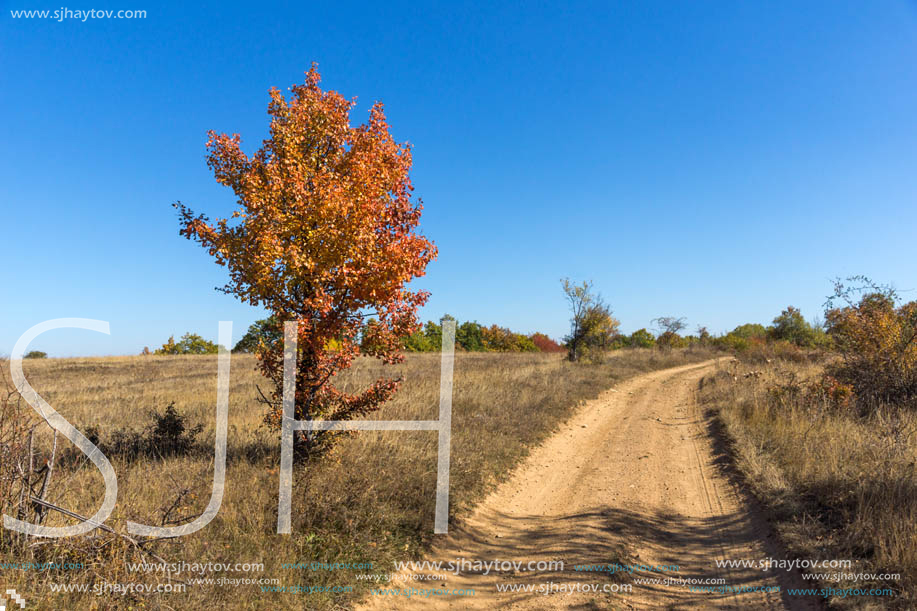 Autumn landscape of Cherna Gora (Monte Negro) mountain, Pernik Region, Bulgaria