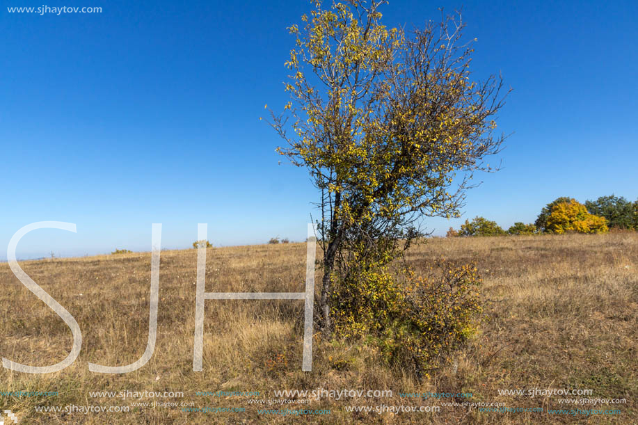 Autumn landscape of Cherna Gora (Monte Negro) mountain, Pernik Region, Bulgaria