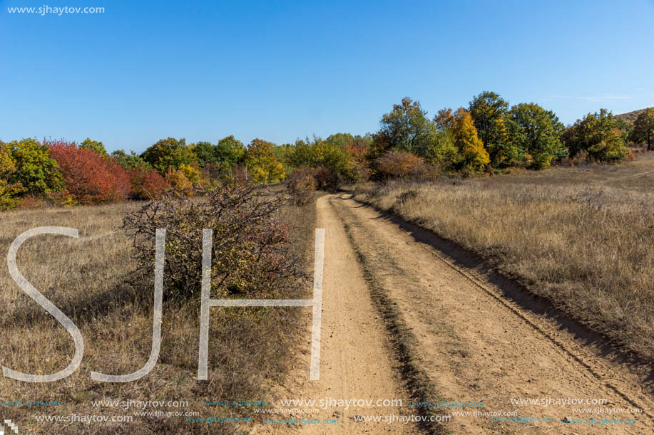 Autumn landscape of Cherna Gora (Monte Negro) mountain, Pernik Region, Bulgaria