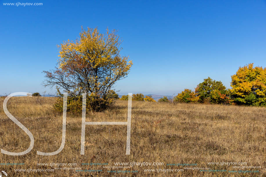 Autumn landscape of Cherna Gora (Monte Negro) mountain, Pernik Region, Bulgaria