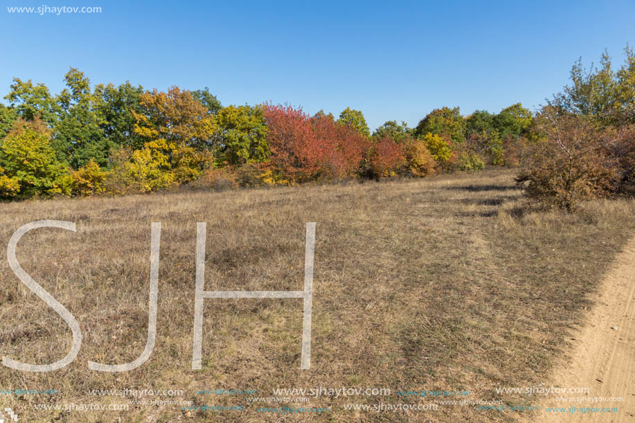 Autumn landscape of Cherna Gora (Monte Negro) mountain, Pernik Region, Bulgaria