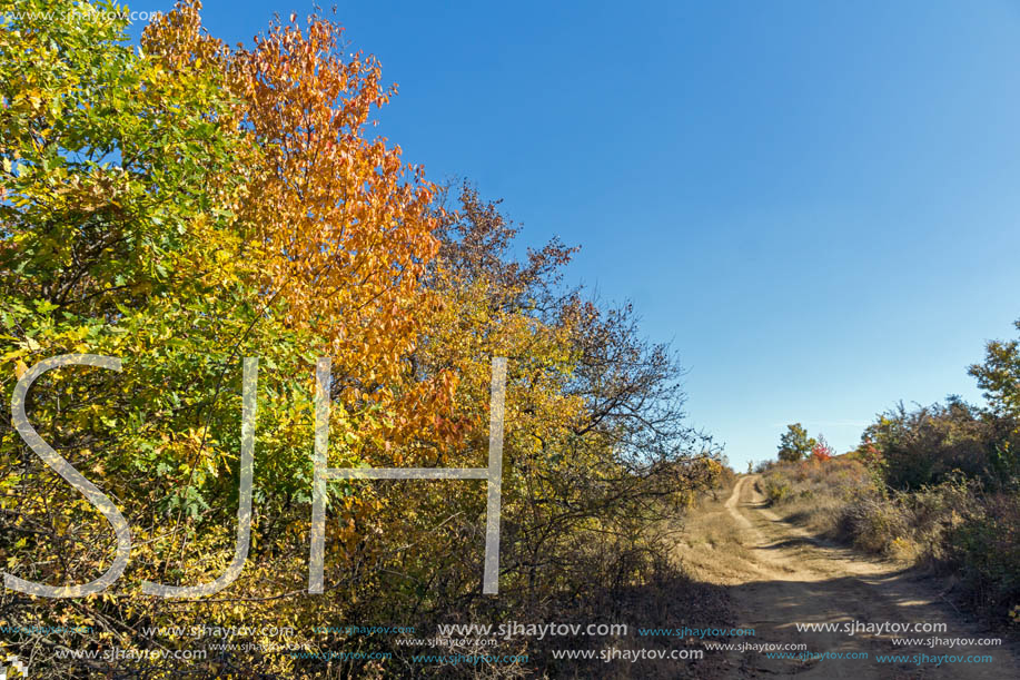 Autumn landscape of Cherna Gora (Monte Negro) mountain, Pernik Region, Bulgaria