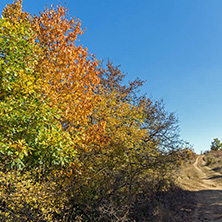Autumn landscape of Cherna Gora (Monte Negro) mountain, Pernik Region, Bulgaria