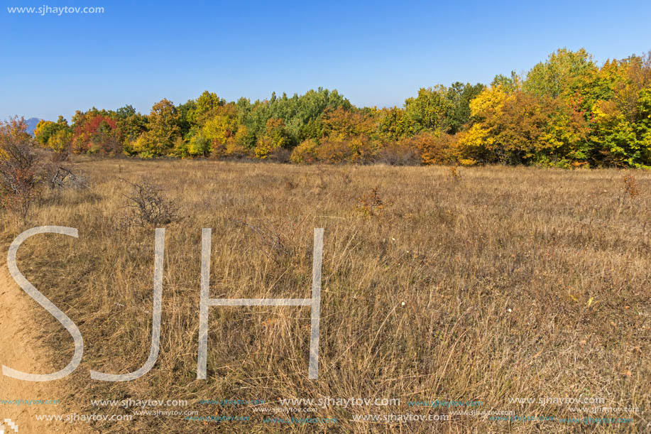 Autumn landscape of Cherna Gora (Monte Negro) mountain, Pernik Region, Bulgaria