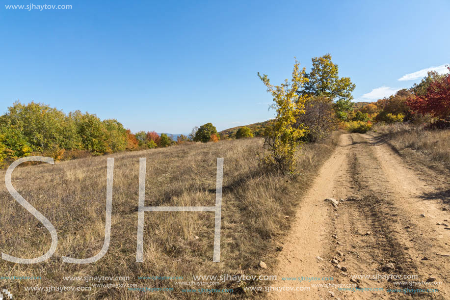 Autumn landscape of Cherna Gora (Monte Negro) mountain, Pernik Region, Bulgaria