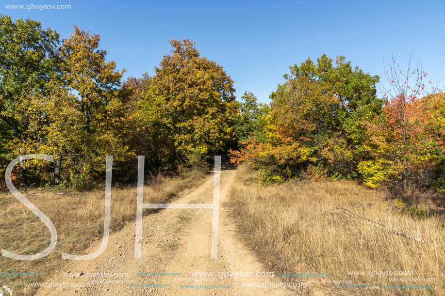 Autumn landscape of Cherna Gora (Monte Negro) mountain, Pernik Region, Bulgaria