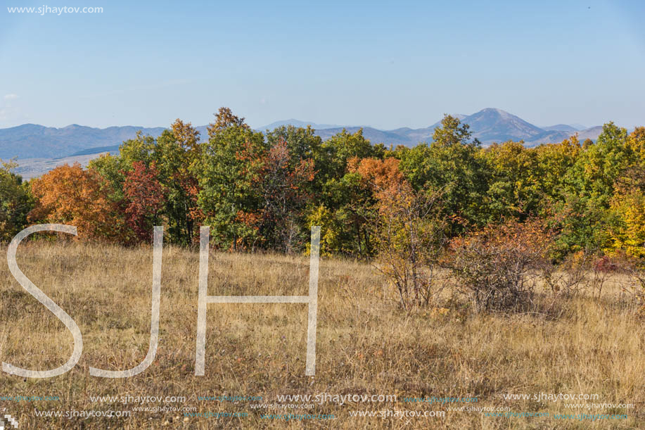 Autumn landscape of Cherna Gora (Monte Negro) mountain, Pernik Region, Bulgaria