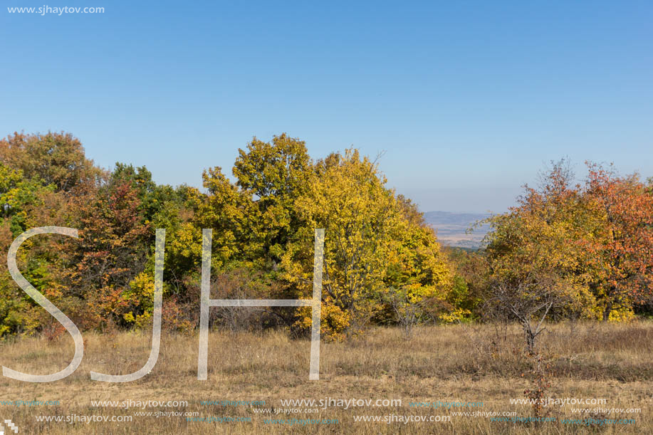 Autumn landscape of Cherna Gora (Monte Negro) mountain, Pernik Region, Bulgaria