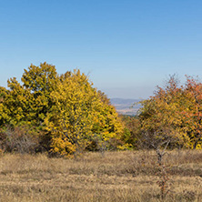 Autumn landscape of Cherna Gora (Monte Negro) mountain, Pernik Region, Bulgaria