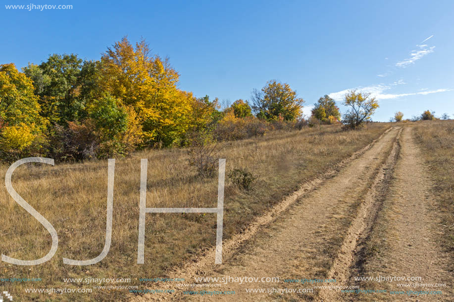 Autumn landscape of Cherna Gora (Monte Negro) mountain, Pernik Region, Bulgaria