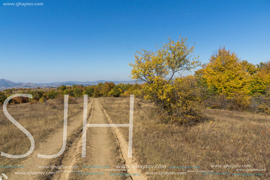 Autumn landscape of Cherna Gora (Monte Negro) mountain, Pernik Region, Bulgaria