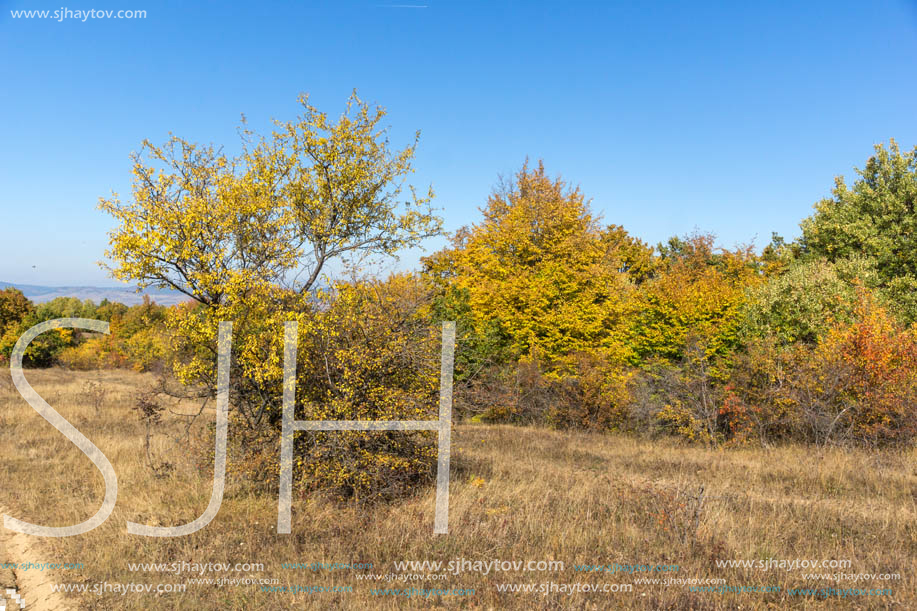 Autumn landscape of Cherna Gora (Monte Negro) mountain, Pernik Region, Bulgaria