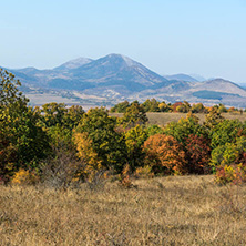 Autumn landscape of Cherna Gora (Monte Negro) mountain, Pernik Region, Bulgaria