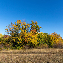 Autumn landscape of Cherna Gora (Monte Negro) mountain, Pernik Region, Bulgaria