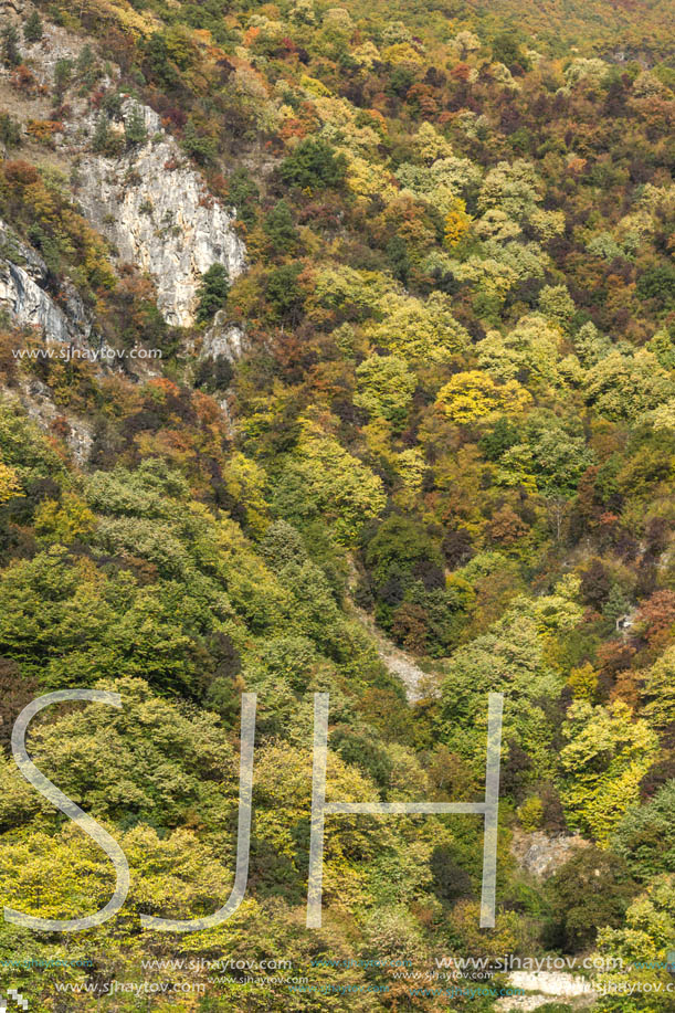 Amazing Autumn ladscape with  forest around Krichim Reservoir, Rhodopes Mountain, Bulgaria